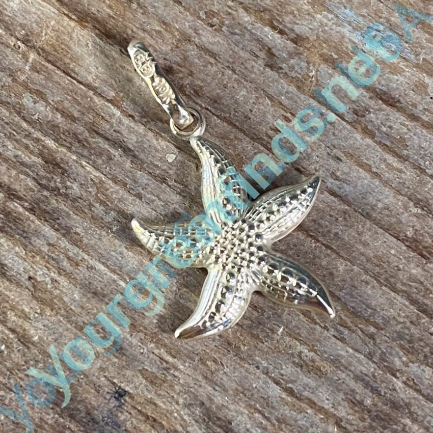 Starfish Silver Necklace Price - Ametist İstanbul